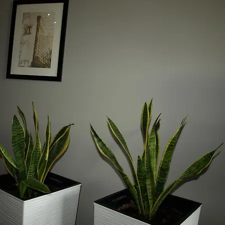 Apartmán Quiet Koscielna