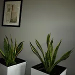 Apartman Quiet Koscielna