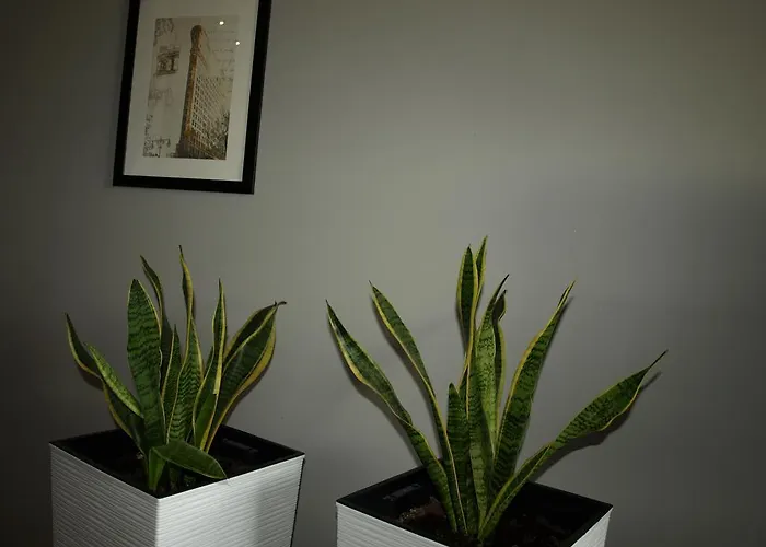 Apartament Quiet Kościelna